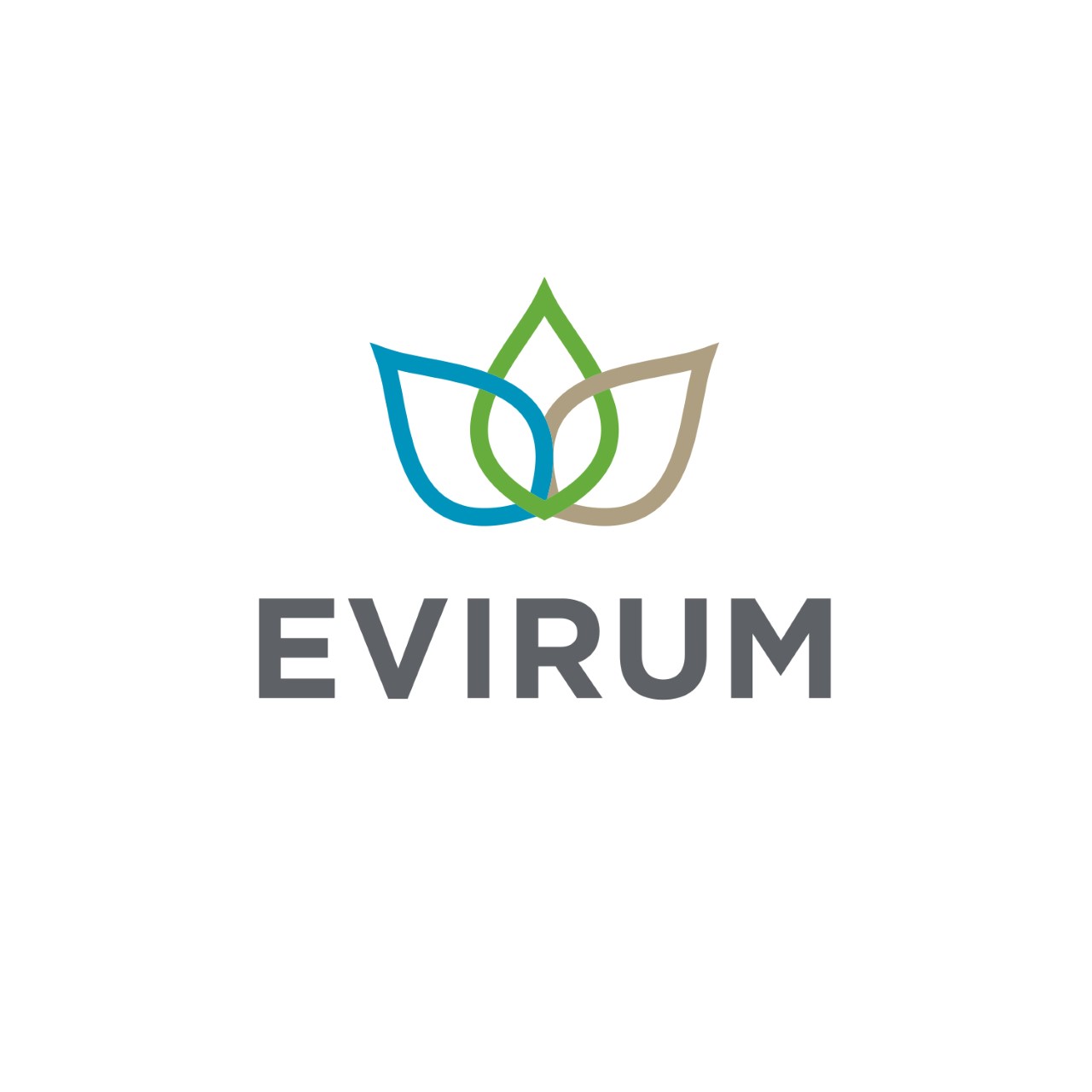 Thumbnail Evirum Logo Rgb